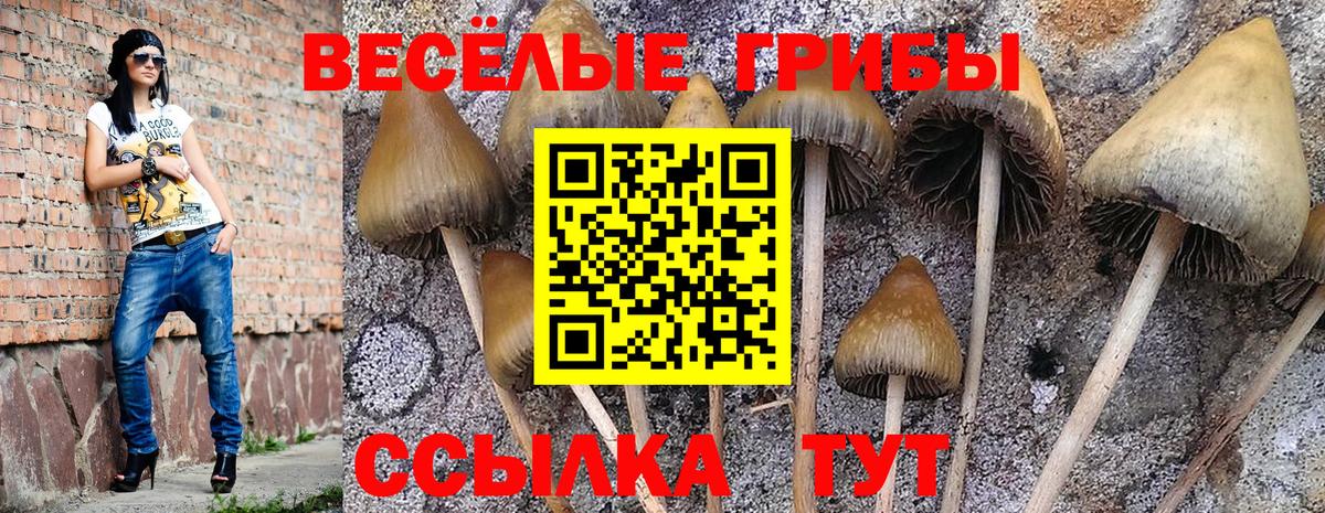 Галлюциногенные грибы MAGIC MUSHROOMS Ступино
