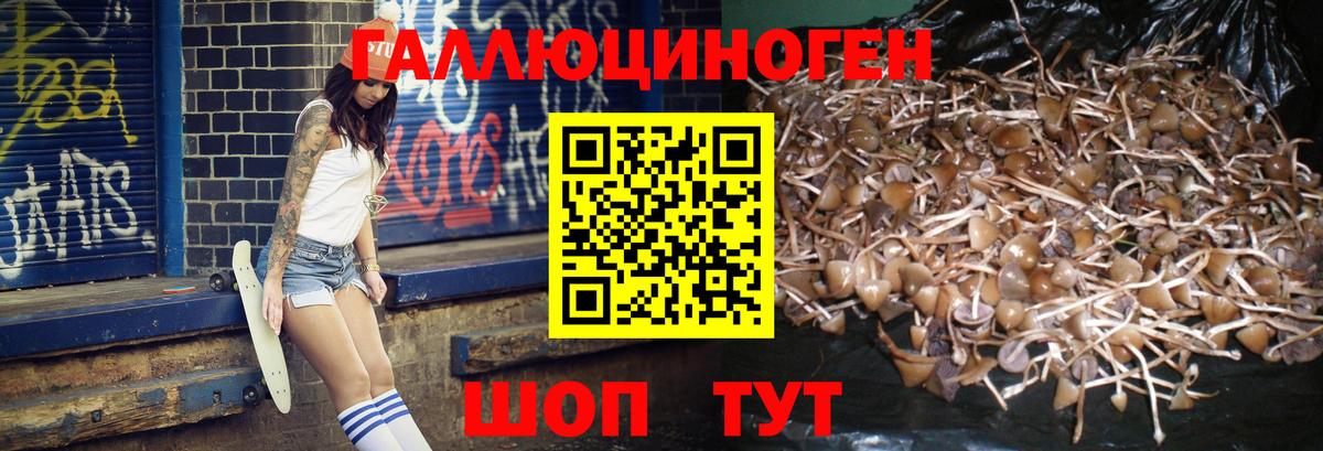 Галлюциногенные грибы MAGIC MUSHROOMS  Вход с VPN  Ступино 
